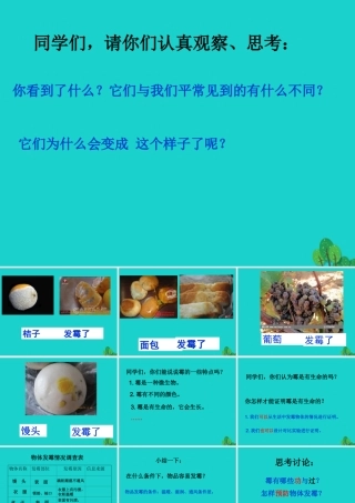 六年级科学上册 馒头发霉了课件1 苏教版-苏教版小学六年级上册自然科学课件