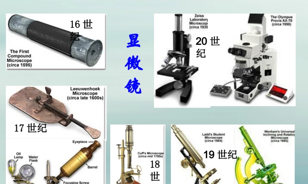 六年级科学上册 第3章 细胞与生殖 3.1 生物的基本单位 显微镜教学课件 牛津上海版-牛津上海版小学六年级上册自然科学课件