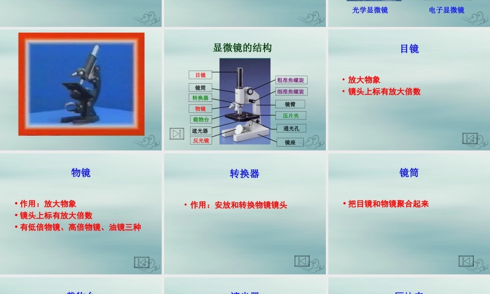 六年级科学上册 第3章 细胞与生殖 3.1 生物的基本单位 显微镜教学课件 牛津上海版-牛津上海版小学六年级上册自然科学课件