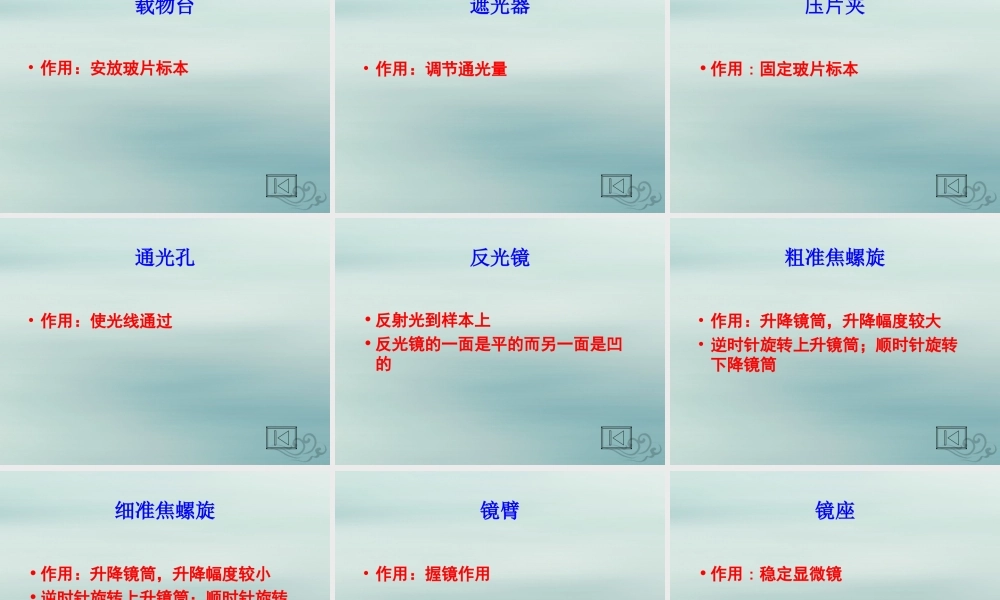 六年级科学上册 第3章 细胞与生殖 3.1 生物的基本单位 显微镜教学课件 牛津上海版-牛津上海版小学六年级上册自然科学课件