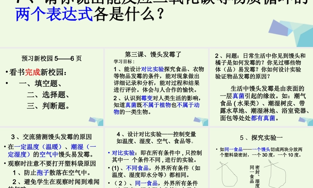 六年级科学上册 馒头发霉了课件2 青岛版-青岛版小学六年级上册自然科学课件