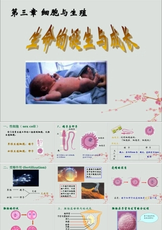 六年级科学上册 第3章 细胞与生殖 3.2 生命的诞生与成长教学课件 牛津上海版-牛津上海版小学六年级上册自然科学课件