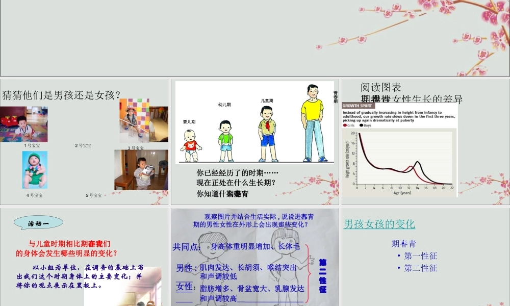 六年级科学上册 第3章 细胞与生殖 3.3 青春期与生育教学课件 牛津上海版-牛津上海版小学六年级上册自然科学课件