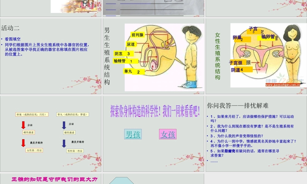 六年级科学上册 第3章 细胞与生殖 3.3 青春期与生育教学课件 牛津上海版-牛津上海版小学六年级上册自然科学课件