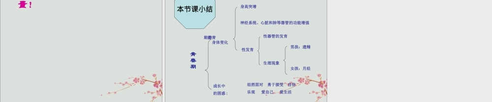 六年级科学上册 第3章 细胞与生殖 3.3 青春期与生育教学课件 牛津上海版-牛津上海版小学六年级上册自然科学课件