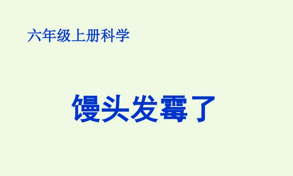 六年级科学上册 馒头发霉了课件3 青岛版-青岛版小学六年级上册自然科学课件