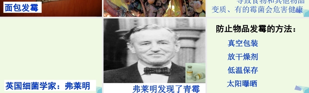 六年级科学上册 馒头发霉了课件3 青岛版-青岛版小学六年级上册自然科学课件