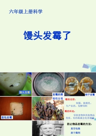 六年级科学上册 馒头发霉了课件3 青岛版-青岛版小学六年级上册自然科学课件