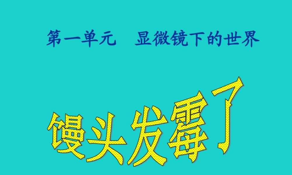 六年级科学上册 馒头发霉了课件3 苏教版-苏教版小学六年级上册自然科学课件