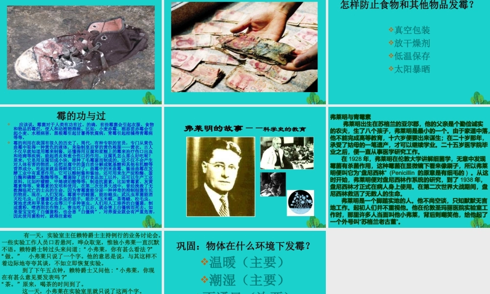 六年级科学上册 馒头发霉了课件3 苏教版-苏教版小学六年级上册自然科学课件