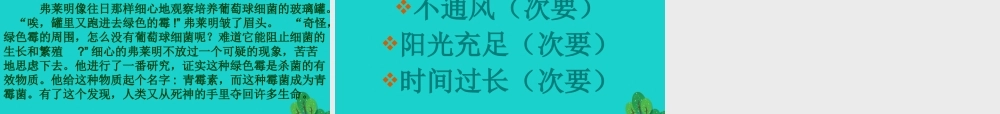六年级科学上册 馒头发霉了课件3 苏教版-苏教版小学六年级上册自然科学课件