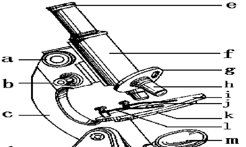 六年级科学上册 馒头发霉了课件4 苏教版-苏教版小学六年级上册自然科学课件