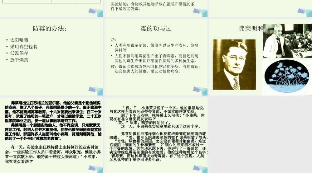 六年级科学上册 馒头发霉了课件4 苏教版-苏教版小学六年级上册自然科学课件