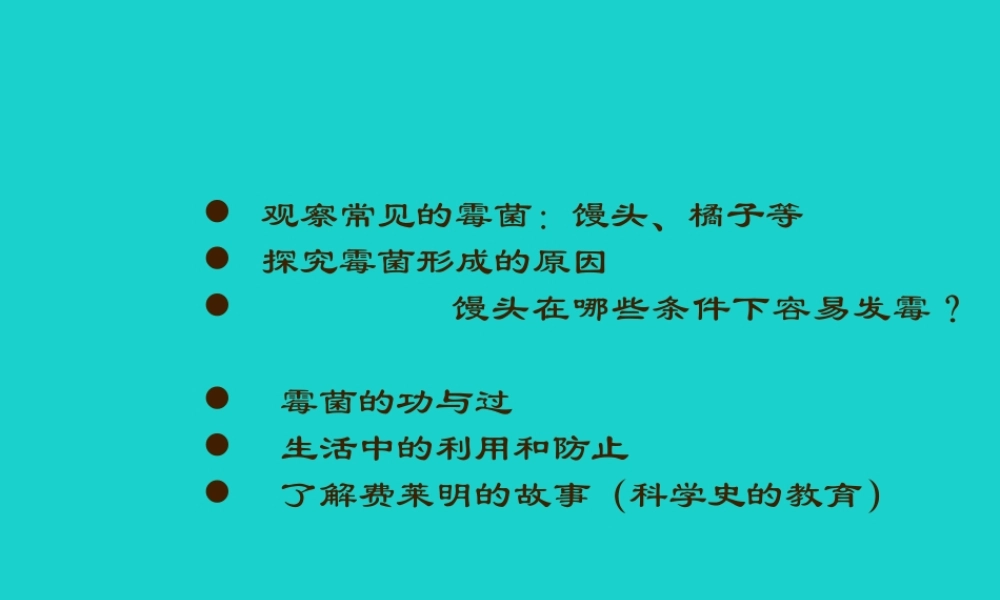 六年级科学上册 馒头发霉了课件5 苏教版-苏教版小学六年级上册自然科学课件