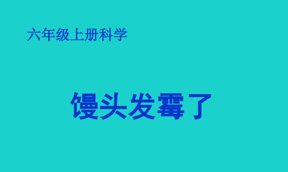 六年级科学上册 馒头发霉了课件6 苏教版-苏教版小学六年级上册自然科学课件