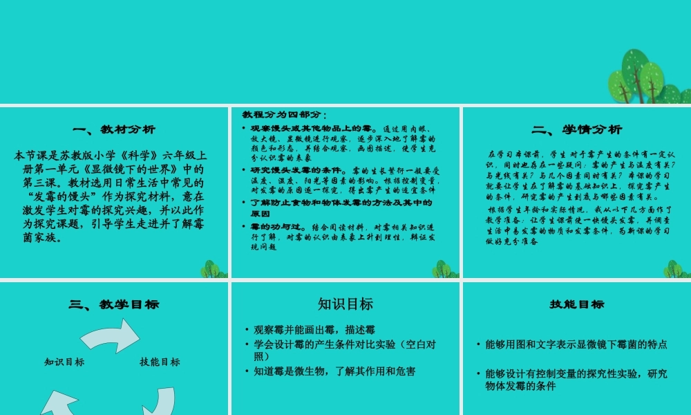 六年级科学上册 馒头发霉了课件7 苏教版-苏教版小学六年级上册自然科学课件