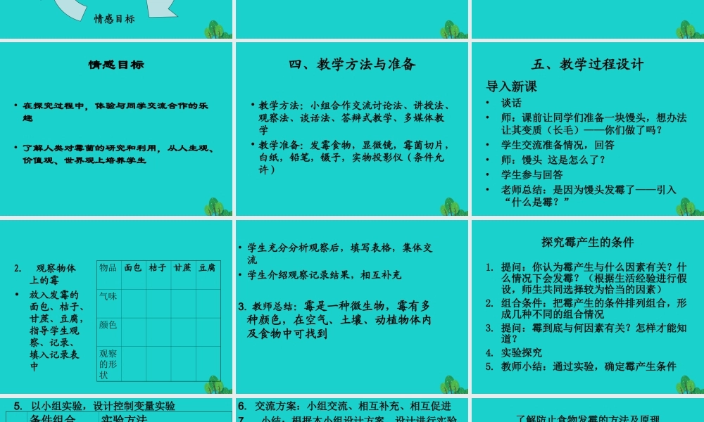 六年级科学上册 馒头发霉了课件7 苏教版-苏教版小学六年级上册自然科学课件