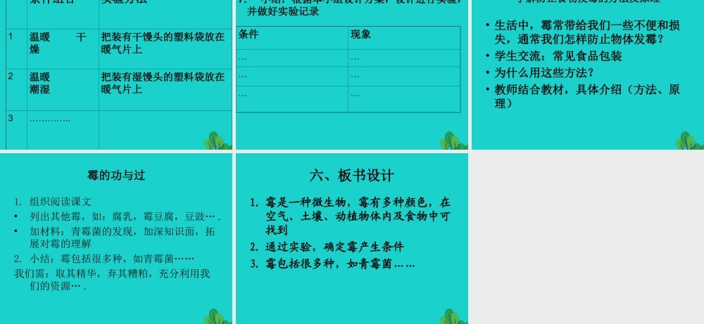 六年级科学上册 馒头发霉了课件7 苏教版-苏教版小学六年级上册自然科学课件