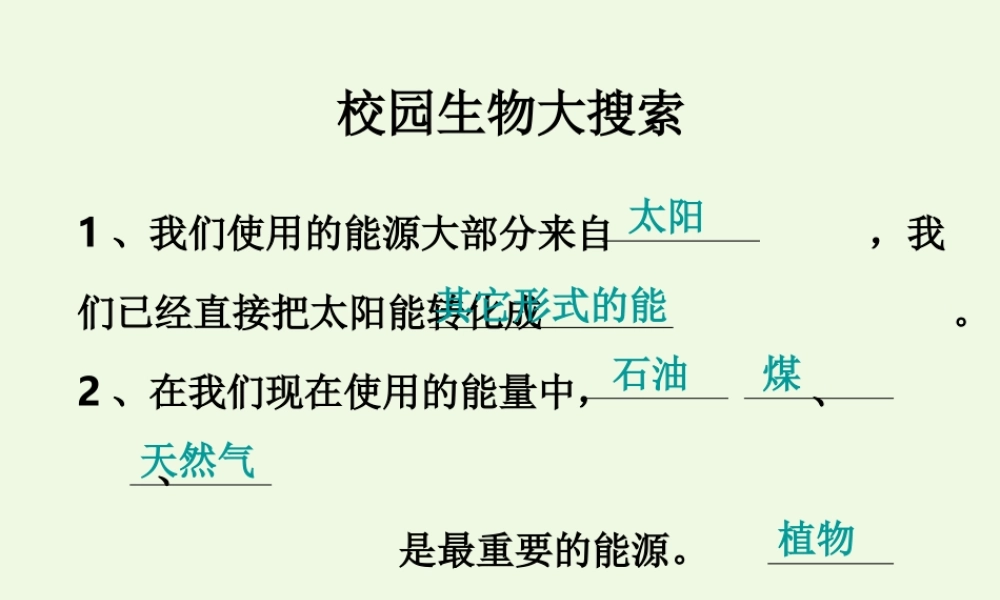 六年级科学上册 4.1 校园生物大搜索课件1 教科版-教科版小学六年级上册自然科学课件