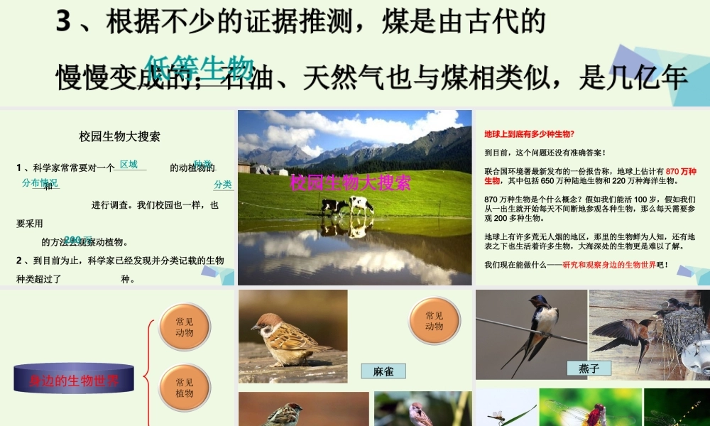 六年级科学上册 4.1 校园生物大搜索课件1 教科版-教科版小学六年级上册自然科学课件