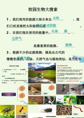 六年级科学上册 4.1 校园生物大搜索课件1 教科版-教科版小学六年级上册自然科学课件