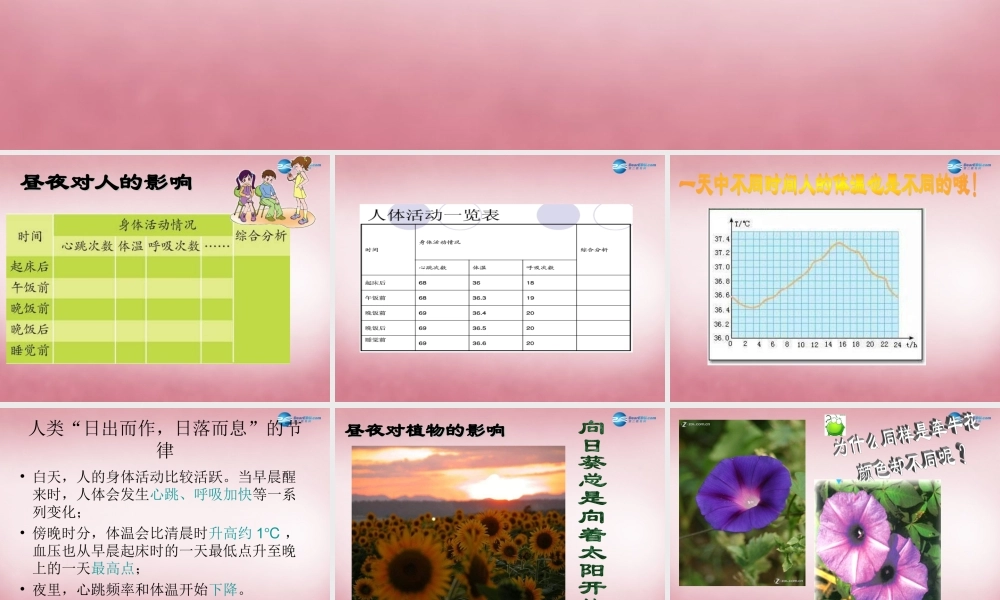 六年级科学上册 第4单元 15 昼夜与生物课件1 青岛版