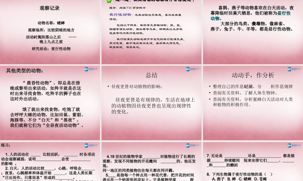 六年级科学上册 第4单元 15 昼夜与生物课件1 青岛版