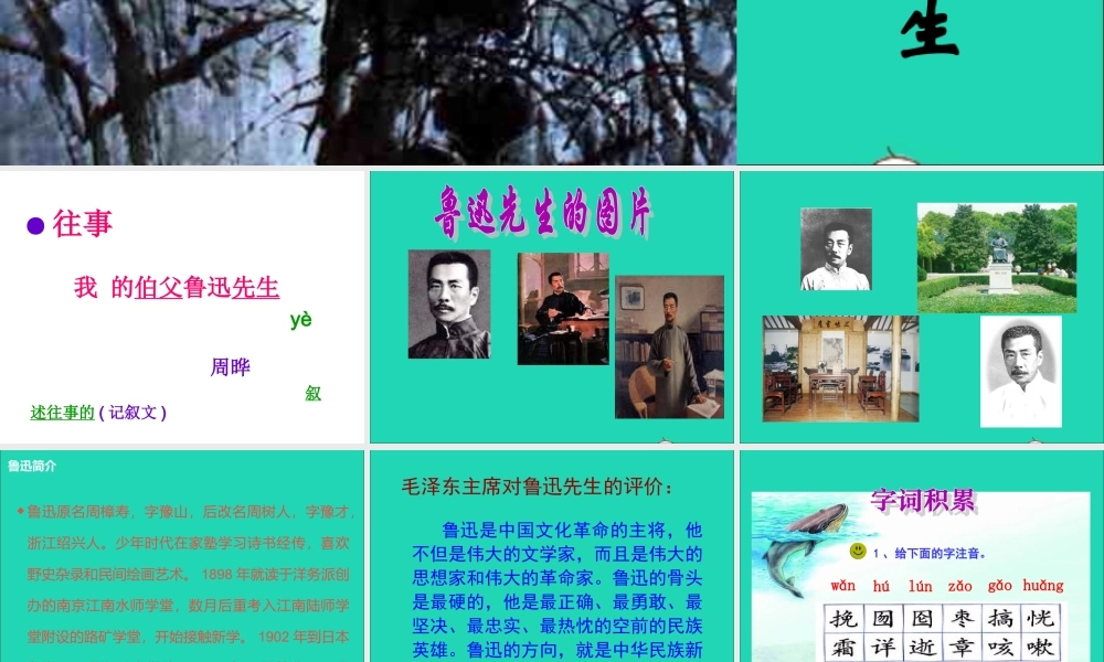 六年级语文上册 5.1 我的伯父鲁迅先生课件1 北师大版-北师大版小学六年级上册语文课件