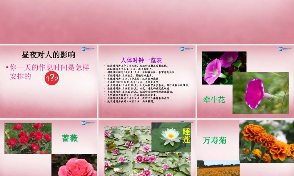 六年级科学上册 第4单元 15 昼夜与生物课件2 青岛版