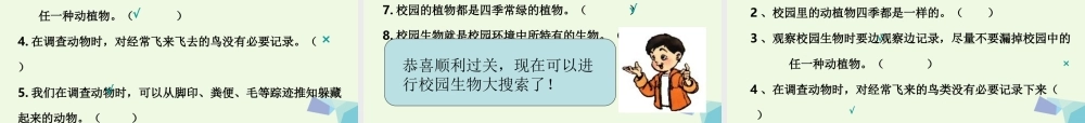 六年级科学上册 4.1 校园生物大搜索课件2 教科版-教科版小学六年级上册自然科学课件