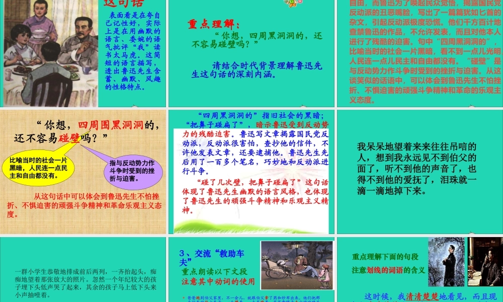 六年级语文上册 5.1 我的伯父鲁迅先生课件2 北师大版-北师大版小学六年级上册语文课件