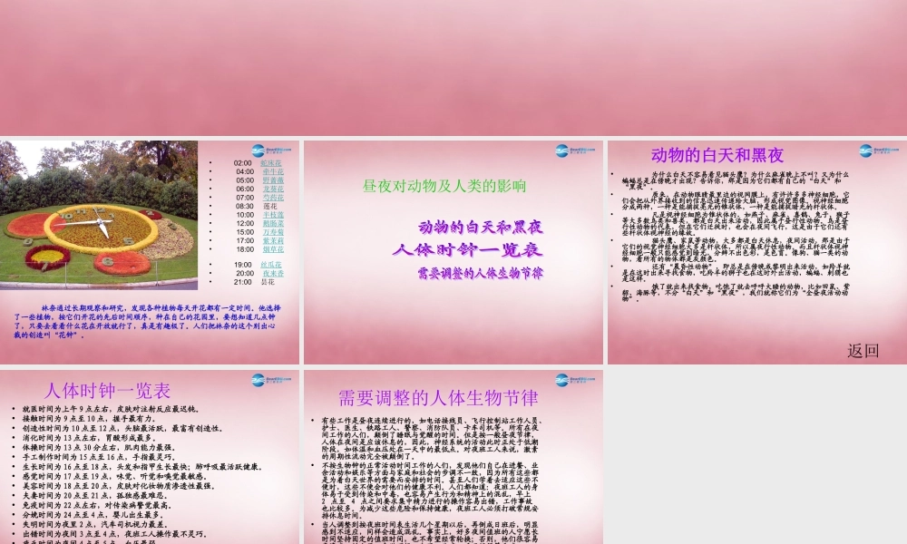 六年级科学上册 第4单元 15 昼夜与生物课件3 青岛版