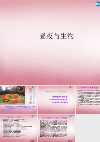 六年级科学上册 第4单元 15 昼夜与生物课件3 青岛版