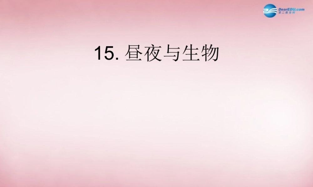 六年级科学上册 第4单元 15 昼夜与生物课件4 青岛版