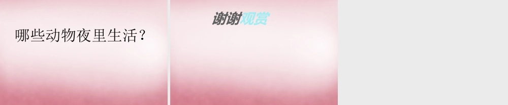 六年级科学上册 第4单元 15 昼夜与生物课件4 青岛版