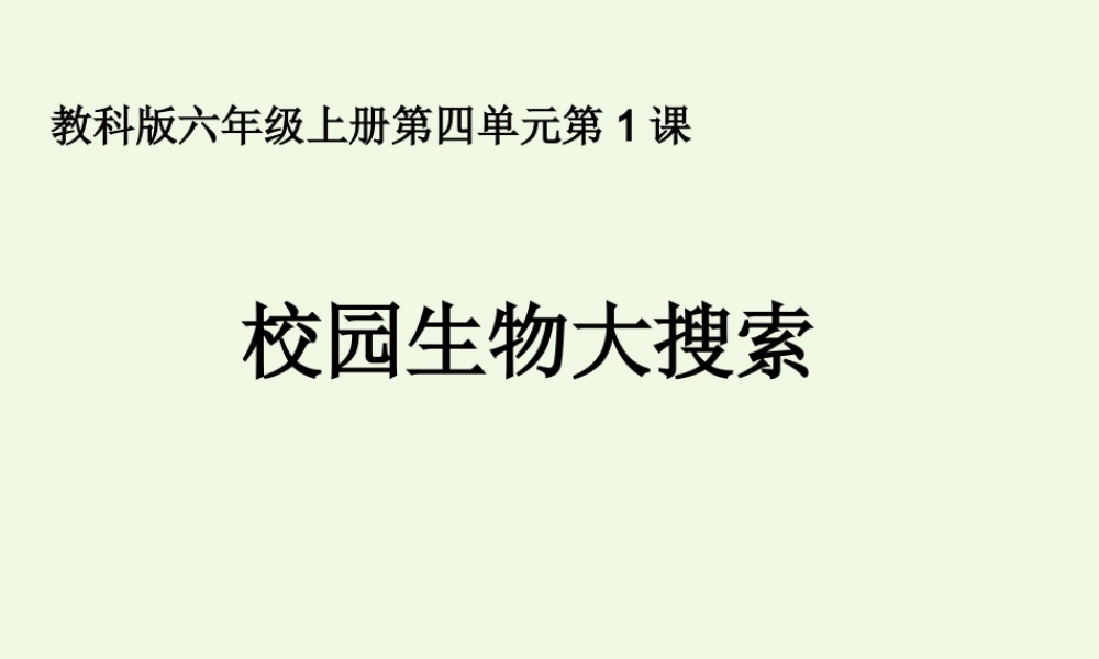 六年级科学上册 4.1 校园生物大搜索课件3 教科版-教科版小学六年级上册自然科学课件