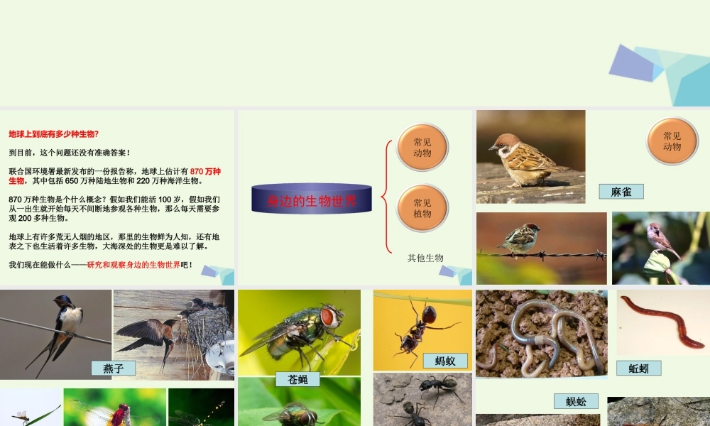 六年级科学上册 4.1 校园生物大搜索课件3 教科版-教科版小学六年级上册自然科学课件