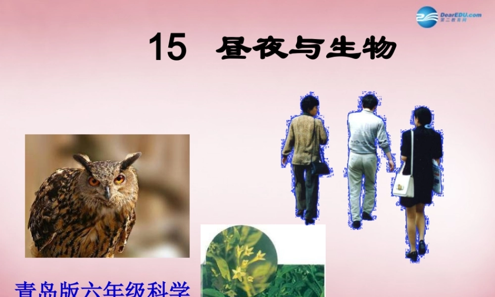 六年级科学上册 第4单元 15 昼夜与生物课件6 青岛版