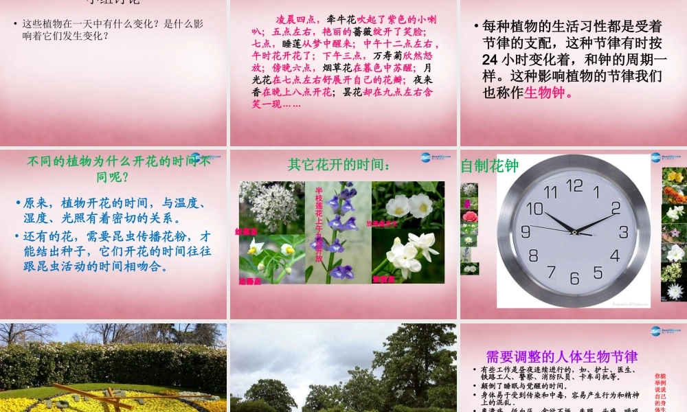 六年级科学上册 第4单元 15 昼夜与生物课件6 青岛版