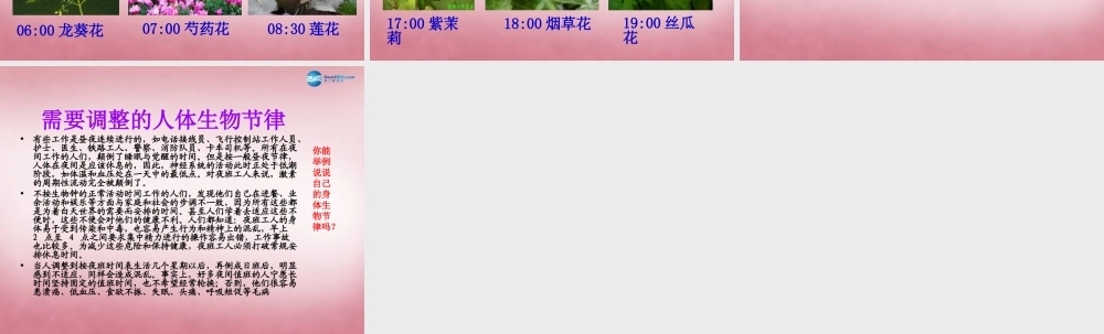 六年级科学上册 第4单元 15 昼夜与生物课件7 青岛版