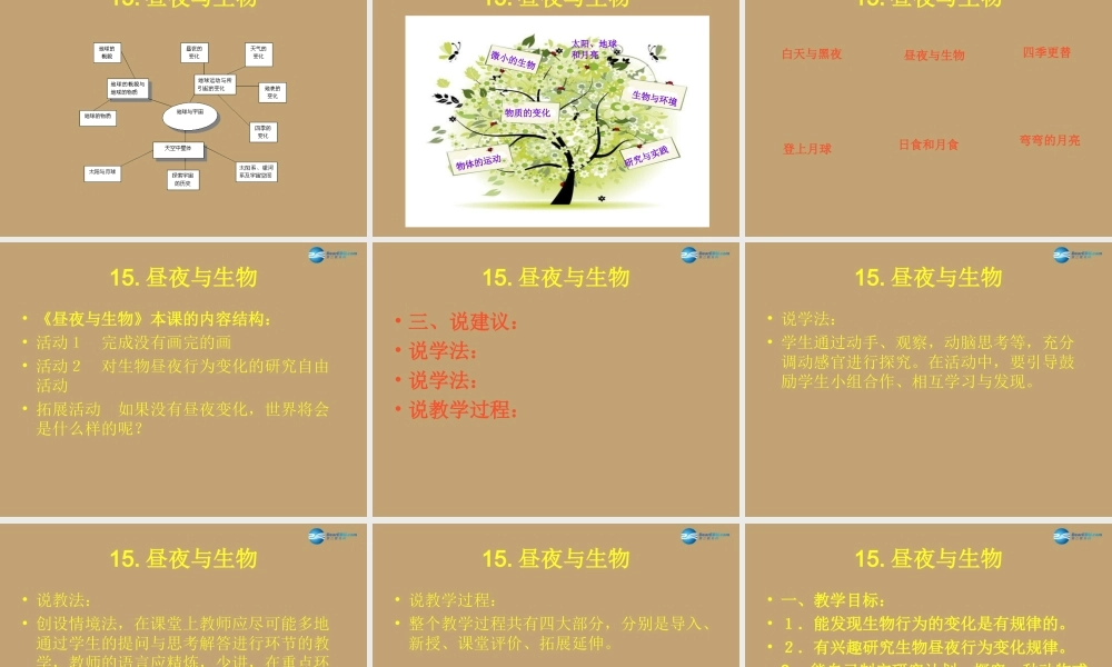 六年级科学上册 第4单元 15 昼夜与生物说课课件 青岛版