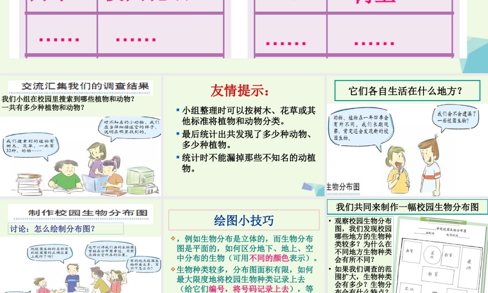 六年级科学上册 4.2 校园生物分布图课件1 教科版-教科版小学六年级上册自然科学课件
