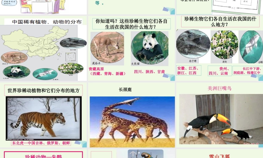 六年级科学上册 4.2 校园生物分布图课件1 教科版-教科版小学六年级上册自然科学课件