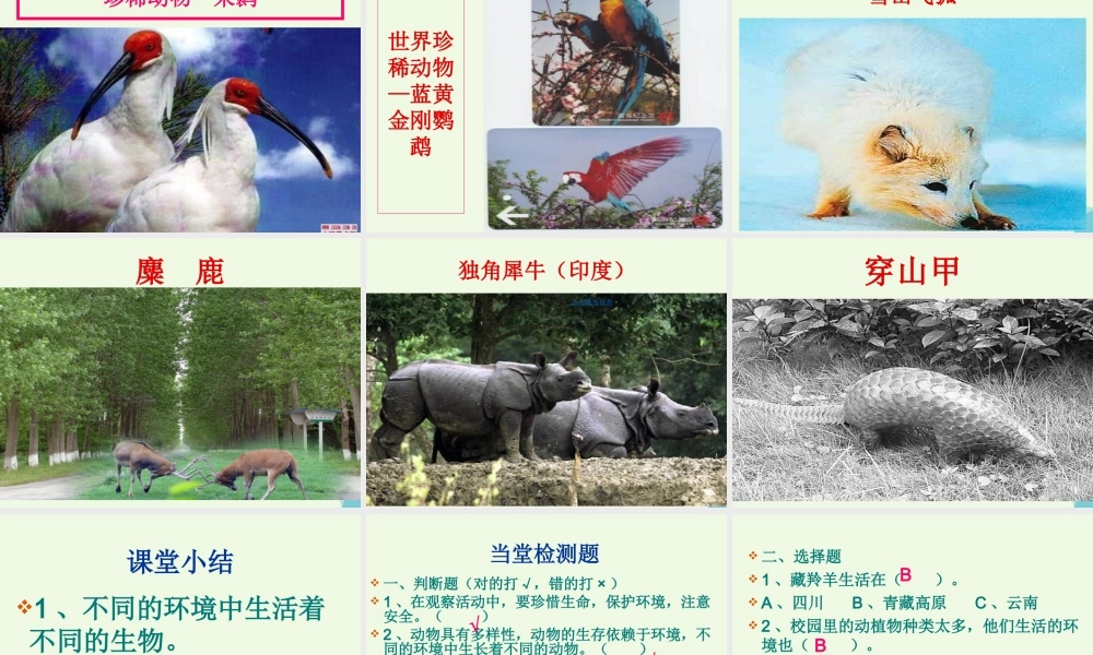 六年级科学上册 4.2 校园生物分布图课件1 教科版-教科版小学六年级上册自然科学课件