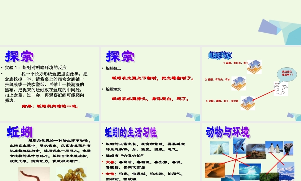 六年级科学上册 蚯蚓找家课件1 青岛版-青岛版小学六年级上册自然科学课件