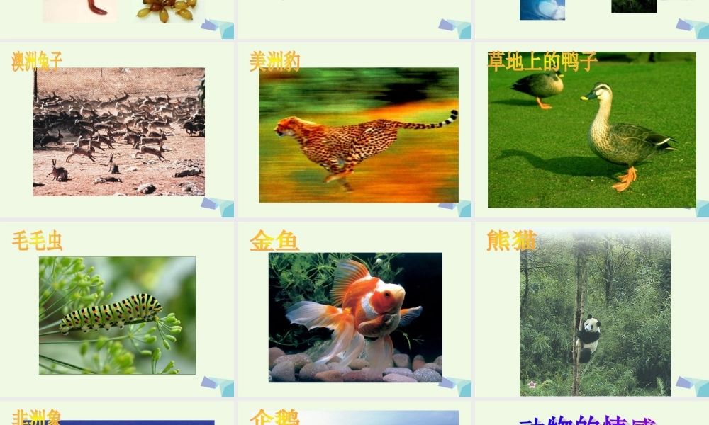 六年级科学上册 蚯蚓找家课件1 青岛版-青岛版小学六年级上册自然科学课件