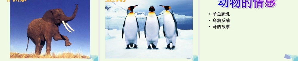 六年级科学上册 蚯蚓找家课件1 青岛版-青岛版小学六年级上册自然科学课件