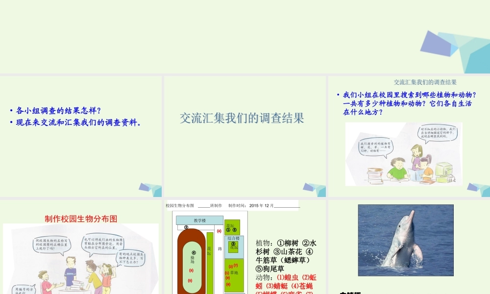 六年级科学上册 4.2 校园生物分布图课件2 教科版-教科版小学六年级上册自然科学课件
