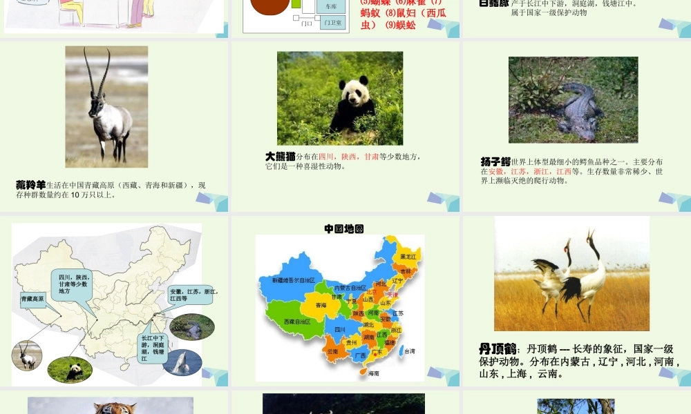 六年级科学上册 4.2 校园生物分布图课件2 教科版-教科版小学六年级上册自然科学课件