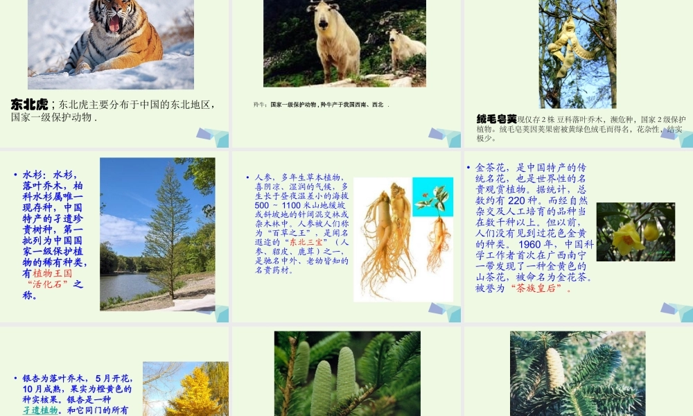 六年级科学上册 4.2 校园生物分布图课件2 教科版-教科版小学六年级上册自然科学课件